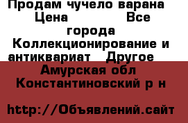 Продам чучело варана. › Цена ­ 15 000 - Все города Коллекционирование и антиквариат » Другое   . Амурская обл.,Константиновский р-н